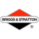 Двигатели Briggs-Stratton в Великом Новгороде